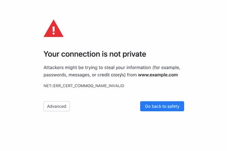 ChatGPT Image Feb 11, 2026, 10_53_49 AM