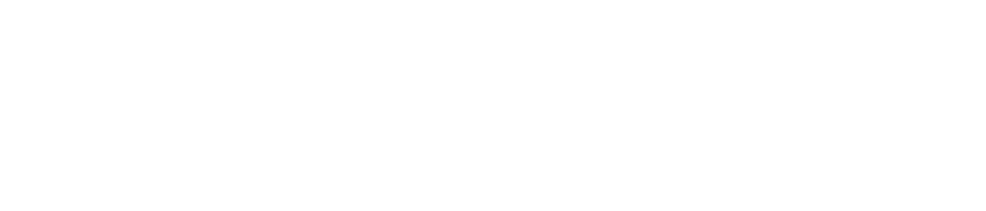 Total Media Placements